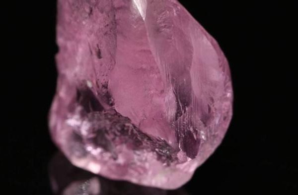 Pink Diamond Investment is worth it? All the pros and cons